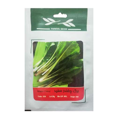 بذر برگ چغندر سفید وانیا سید مدل S36