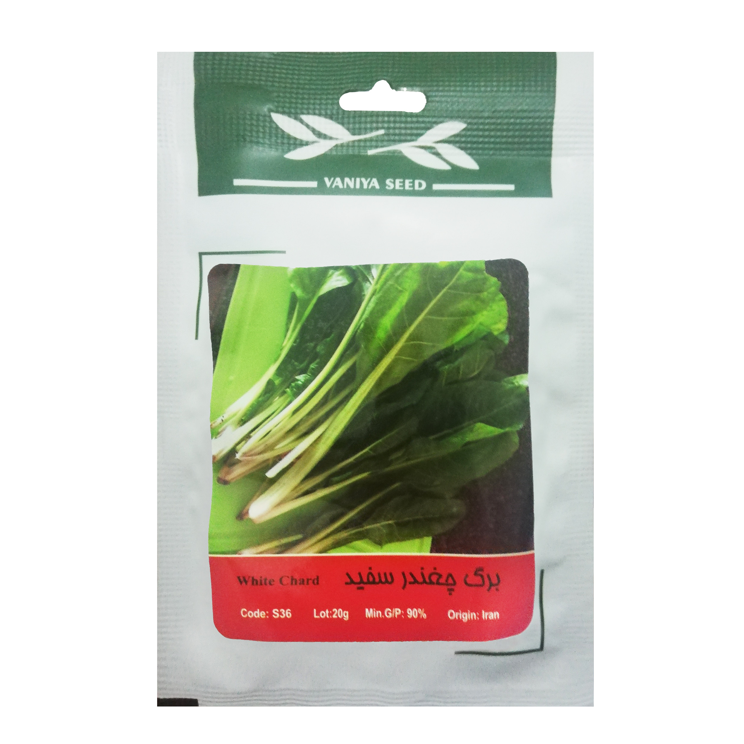 بذر برگ چغندر سفید وانیا سید مدل S36 بذر برگ چغندر سفید وانیا سید مدل S36