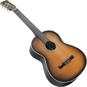 گیتار کلاسیک ایران ساز مدل F850B