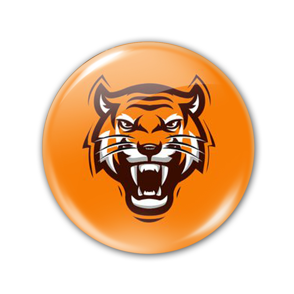 پیکسل طرح ببر کد 15837