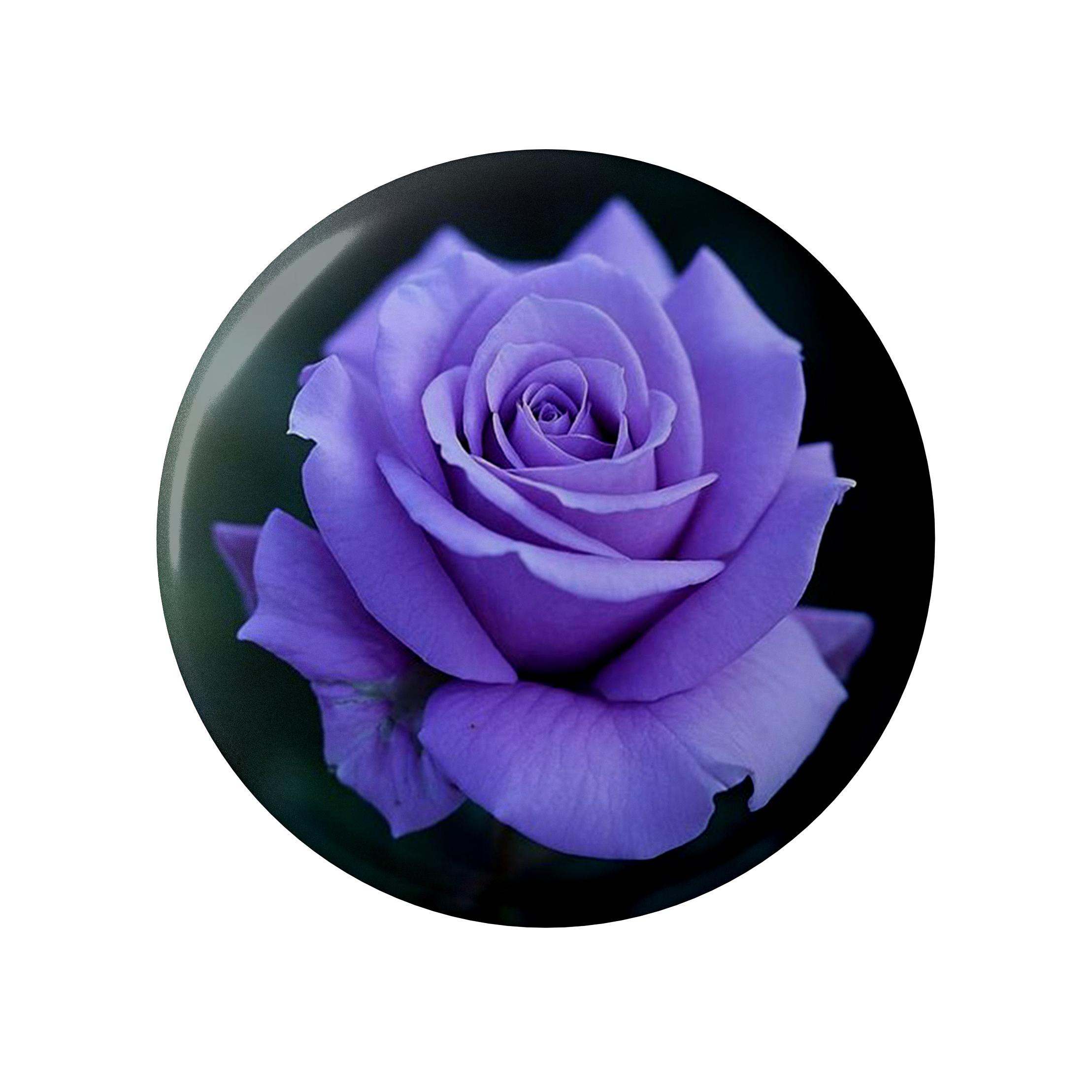 پیکسل طرح گل رُز کد DDP066