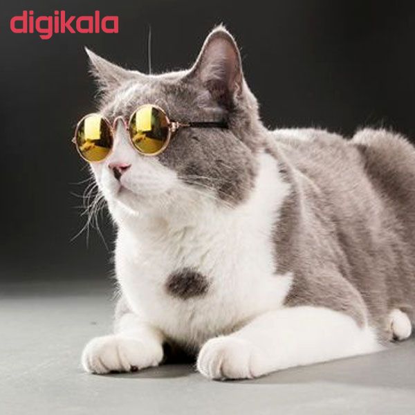 عینک آفتابی سگ و گربه کد AK200 سایز M