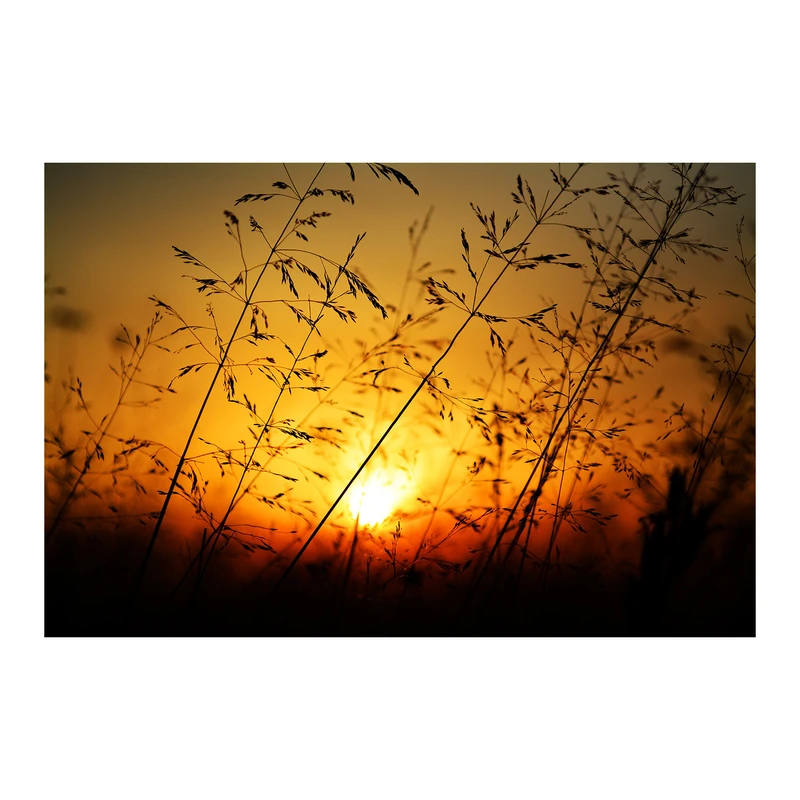 تابلو شاسی رویامد طرح غروب
