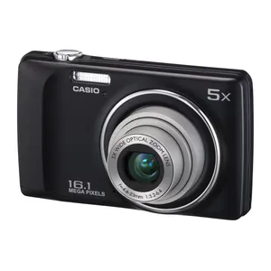 Casio QV-R300 Digital Camera