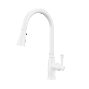 شیر ظرفشویی مدل زانتی کد D50W