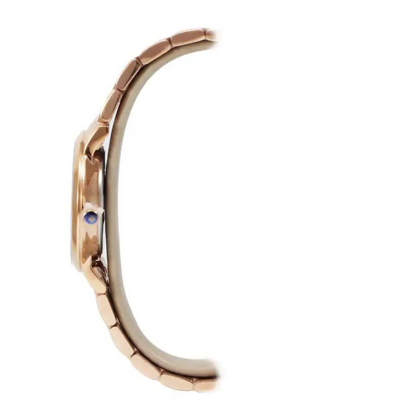 ساعت مچی عقربه ای زنانه رویال لندن مدل RL-21462-06