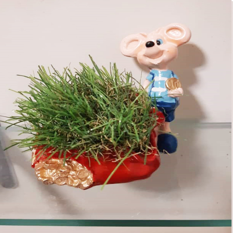 گلدان طرح موش مدل MO200 گلدان طرح موش مدل MO200