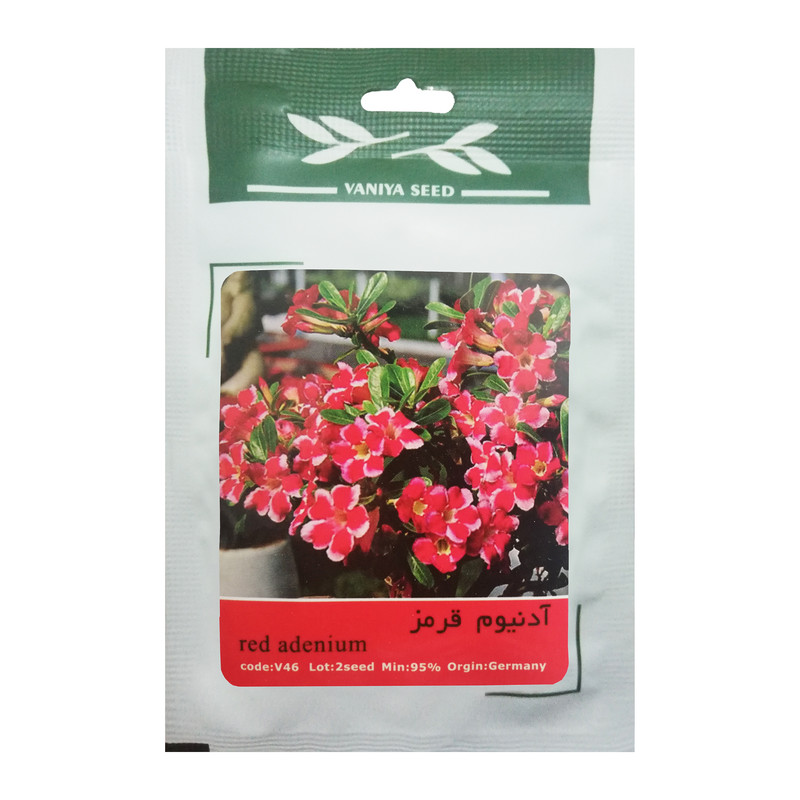بذر بنسای آدنیوم وانیا سید مدل V02 مجموعه 3 عددی
