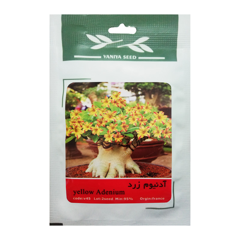بذر بنسای آدنیوم وانیا سید مدل V02 مجموعه 3 عددی