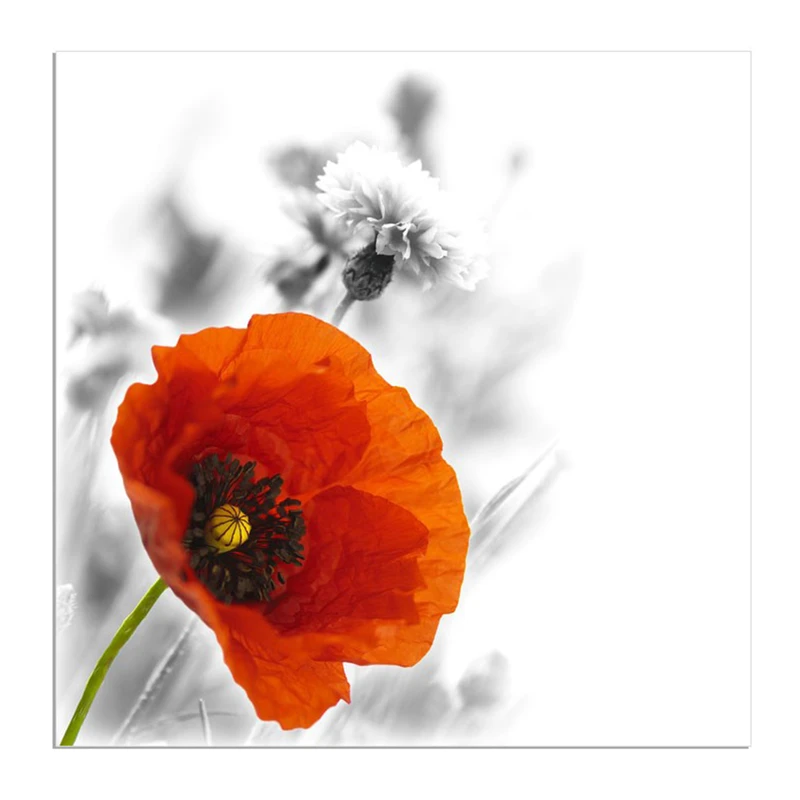 تابلو شاسی لابراتوار سهند طرح 304 سایز 30 × 30