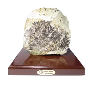 سنگ شجر فسیلی راف پارلا گوهر کد 2025