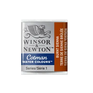 قرص آبرنگ وینزور اند نیوتن کد 074