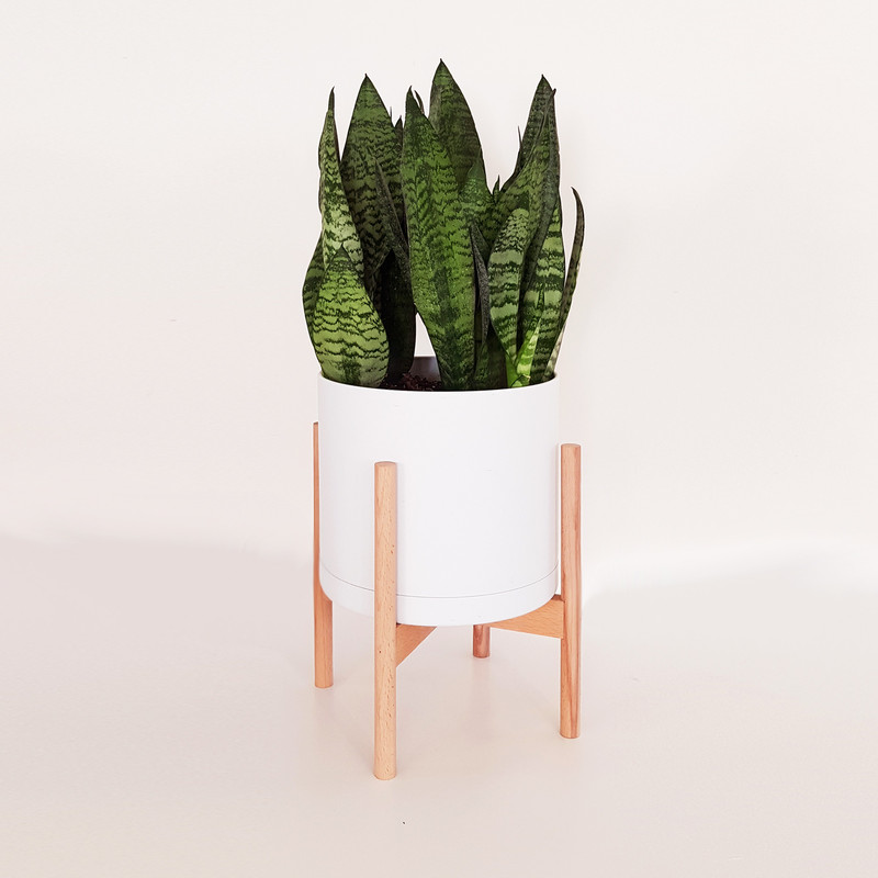 گلدان فیور پات مدل C25