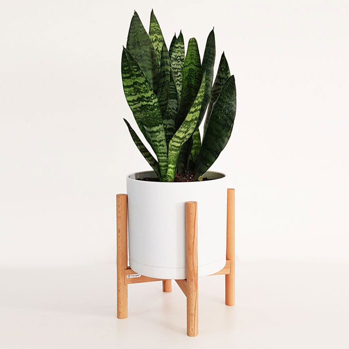 گلدان مدل C20 گلدان مدل C20