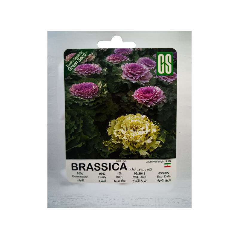 بذر کلم زینتی الوان گرین سید مدل BZG67