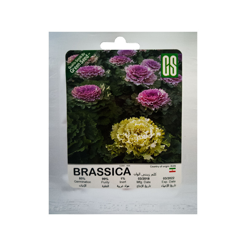 بذر کلم زینتی الوان گرین سید مدل BZG67