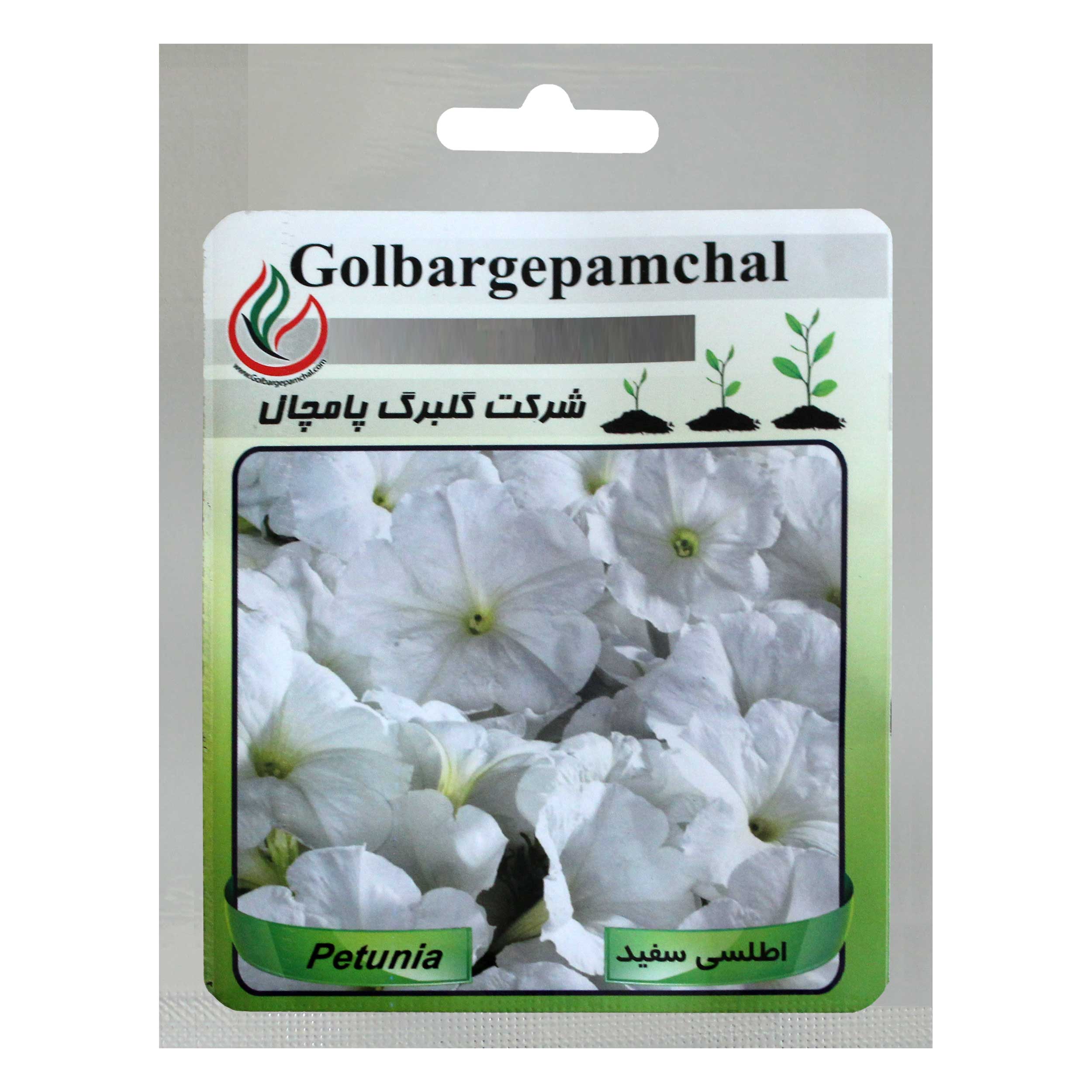 بذر گل اطلسی گل درشت سفید گلبرگ پامچال کد GPF-021