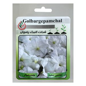 نقد و بررسی بذر گل اطلسی گل درشت سفید گلبرگ پامچال کد GPF-021 توسط خریداران
