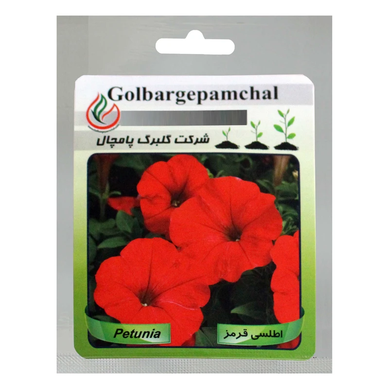 بذر گل اطلسی قرمز گلبرگ پامچال کد GPF-022