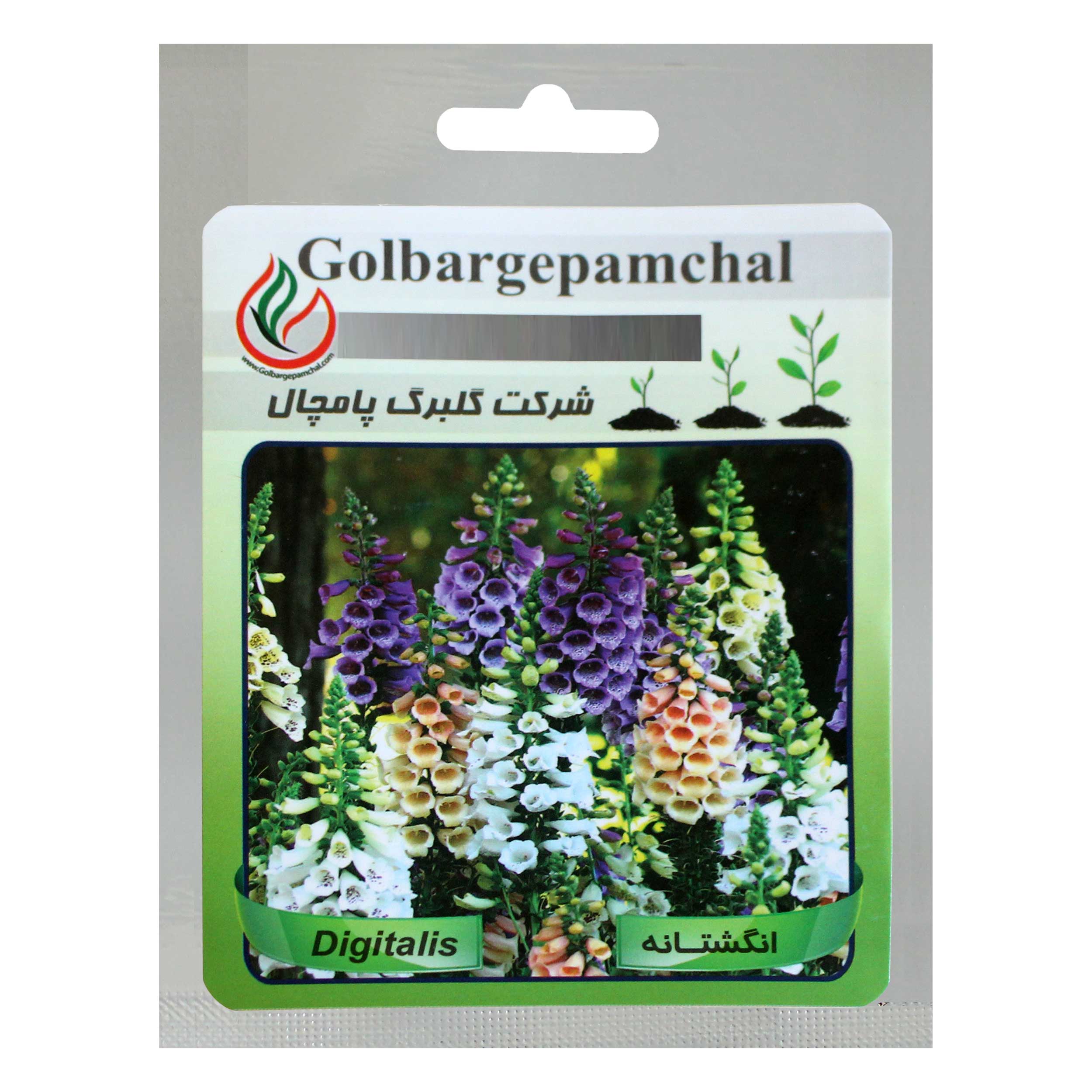 بذر گل انگشتانه گلبرگ پامچال کد GPF-024