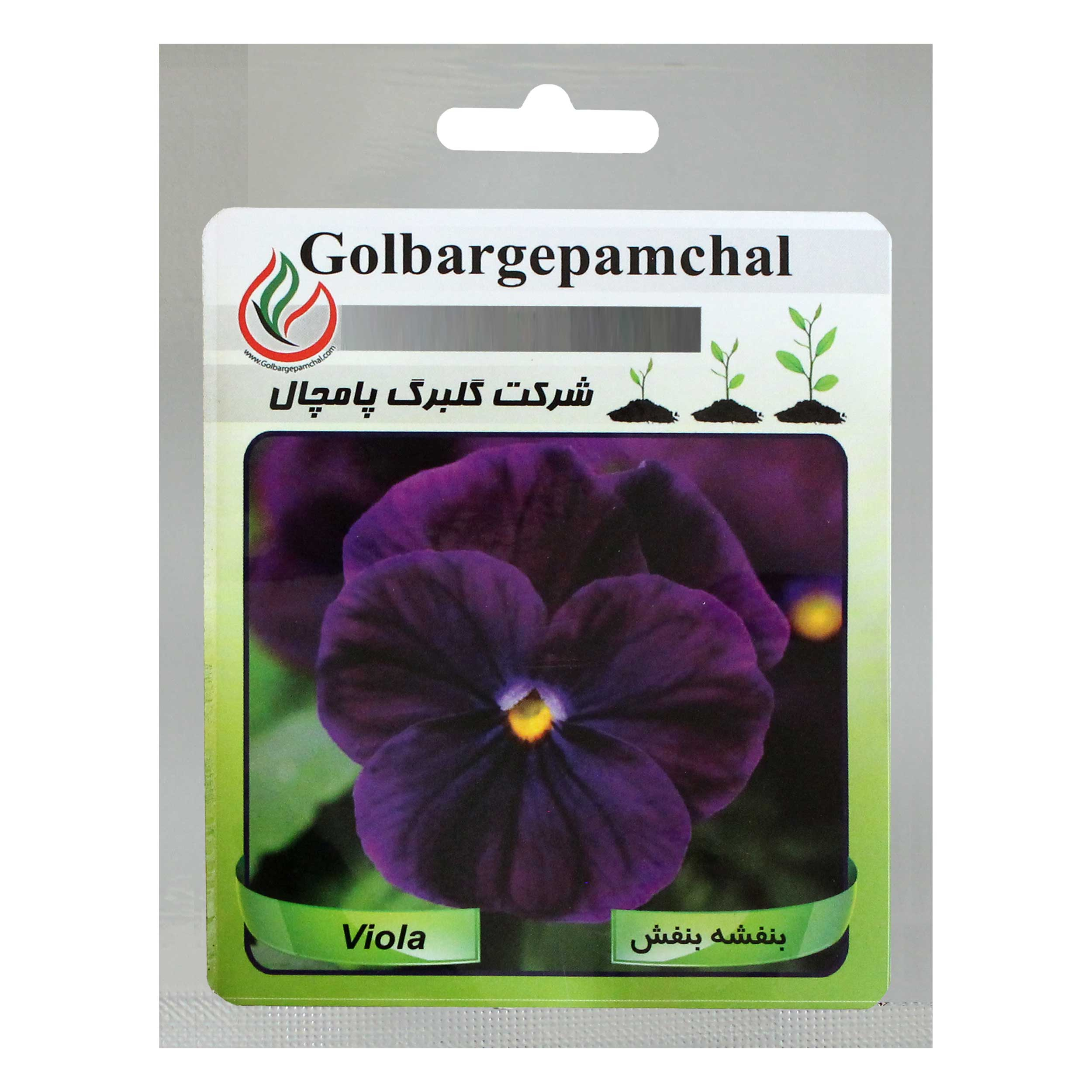 بذر گل بنفشه بنفش گلبرگ پامچال کد GPF-026