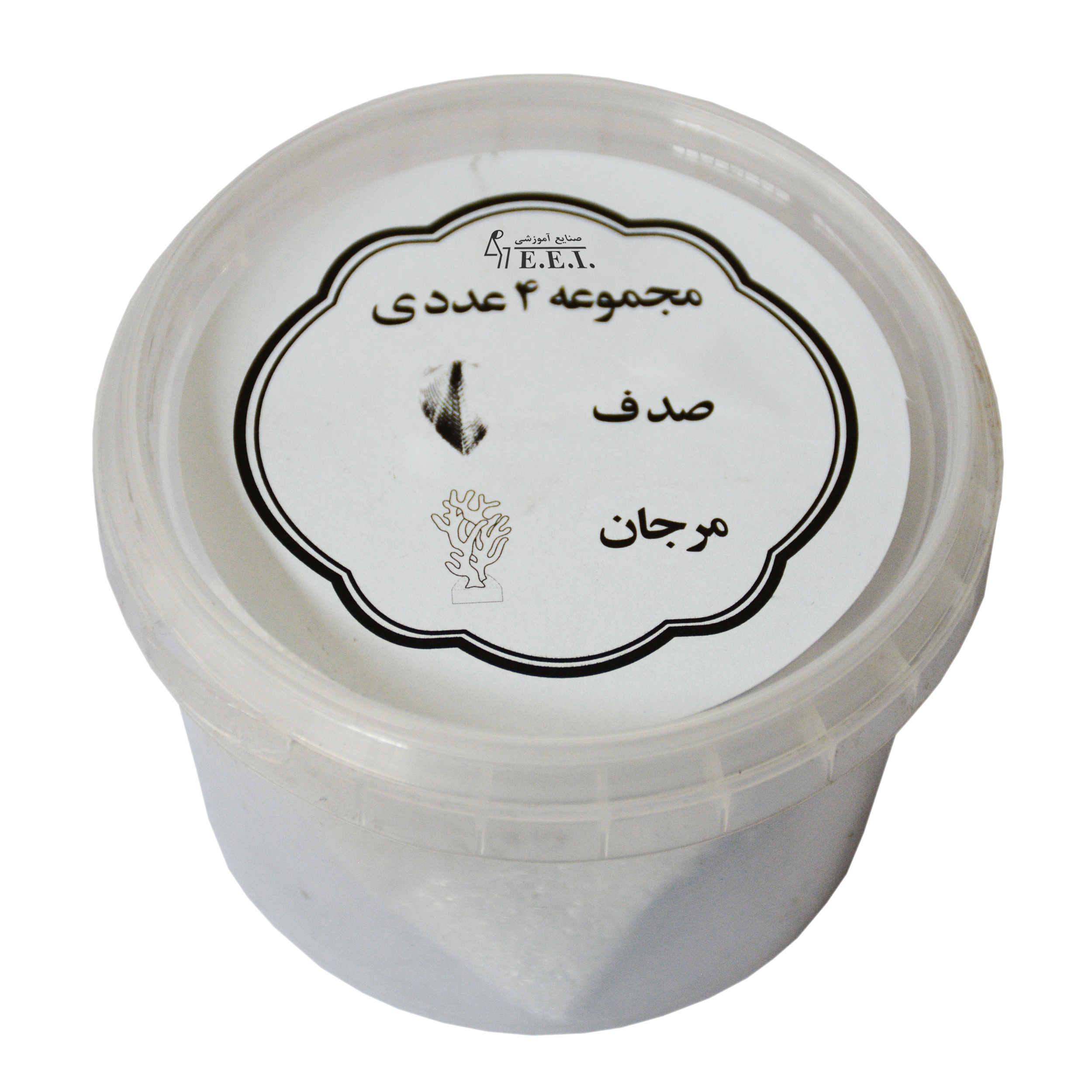 بازی آموزشی صنایع آموزشی مدل فسیل مرجان و صدف کد123