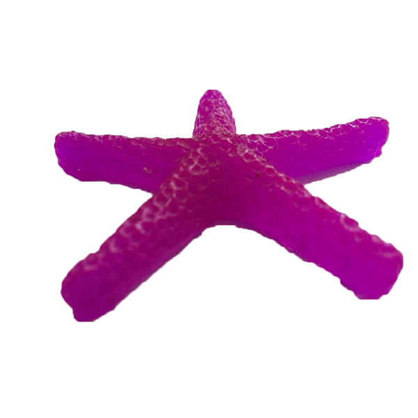 ستاره دریایی آکواریوم مدل str-5
