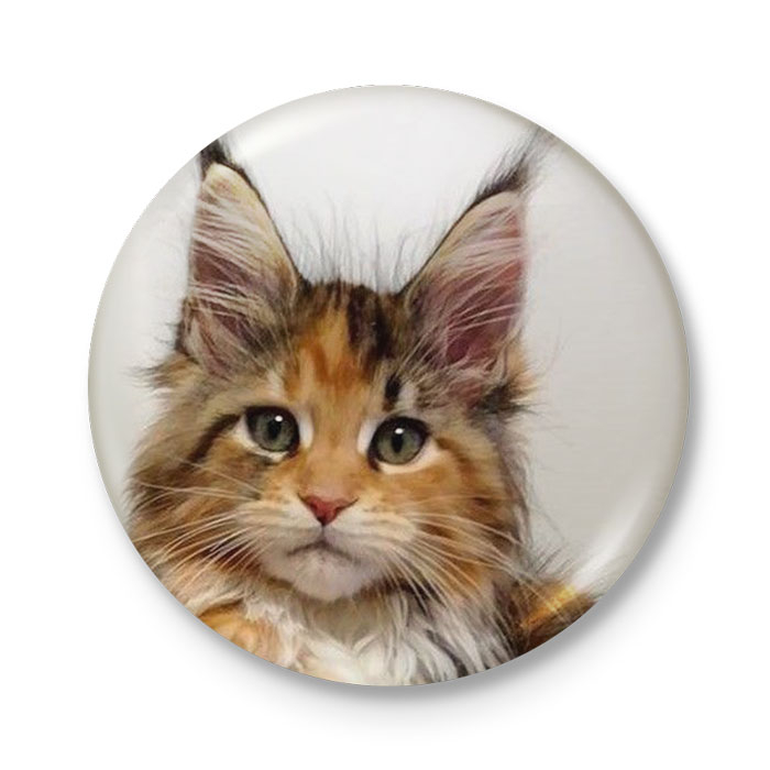 پیکسل طرح گربه کد DDP138