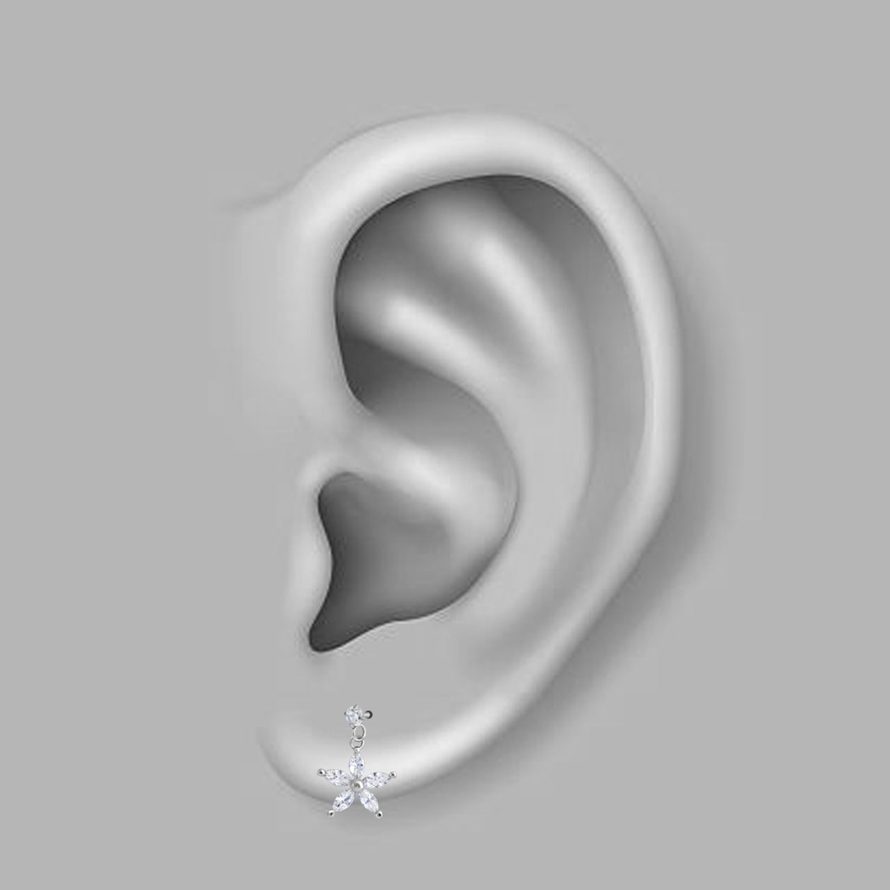 پیرسینگ گوش اقلیمه کد HS62 -  - 3