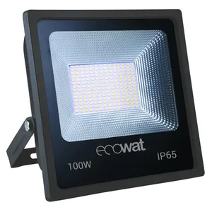 ECOWAT SMD Projector 100W PR100B LED Projector
