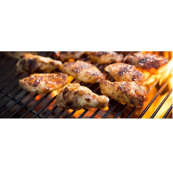 توری گریل مدل TF-5030