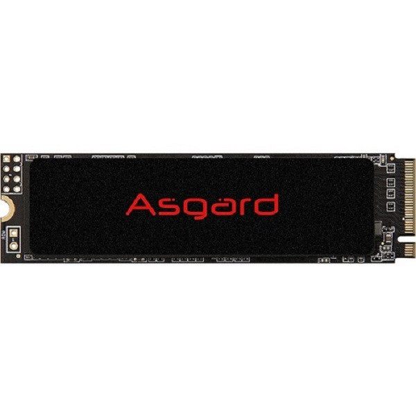اس اس دی اینترنال ازگارد مدلAN2 NVMe-M2.80 ظرفیت 500 گیگابایت