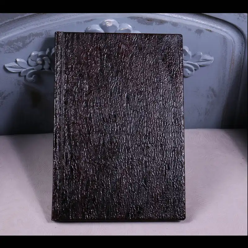 آلبوم عکس کد 13253