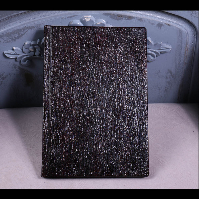 آلبوم عکس کد 13253