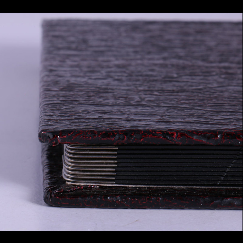 آلبوم عکس کد 13253