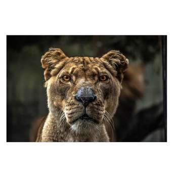 تابلو شاسی نگار ایرانی طرح W6