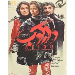 فیلم سینمایی دارکوب اثر بهروز شعیبی