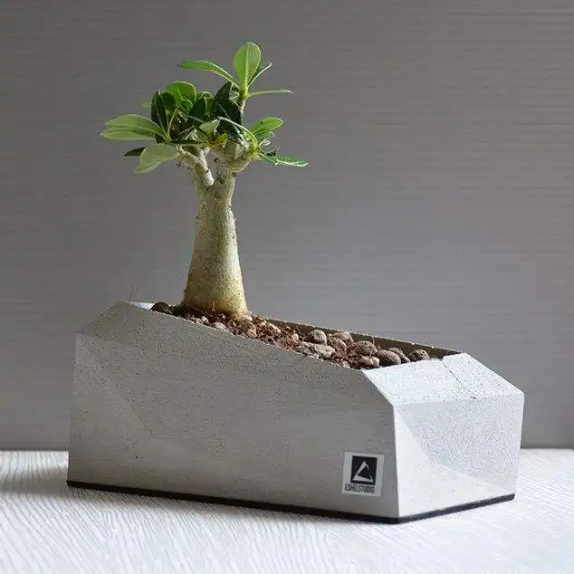 گلدان بتنی استودیو اشل مدل E12