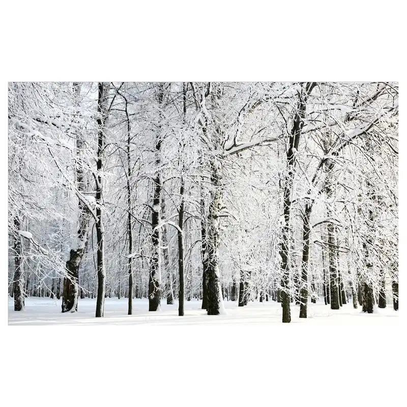 پوستر دیواری سه بعدی مدل WH06