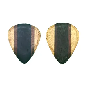 پیک گیتار مدل standard 1o مجموعه 2 عددی