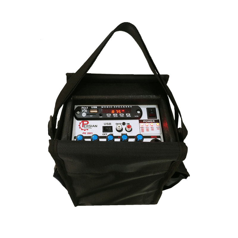 اکو آمپلی فایر پرشین مدل PE201