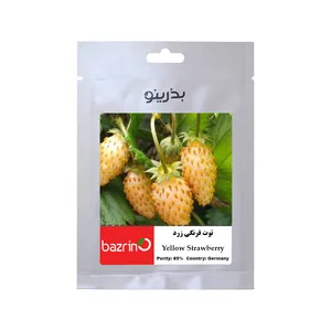 بذر میوه توت فرنگی زرد بذرینو کد BZNO-115