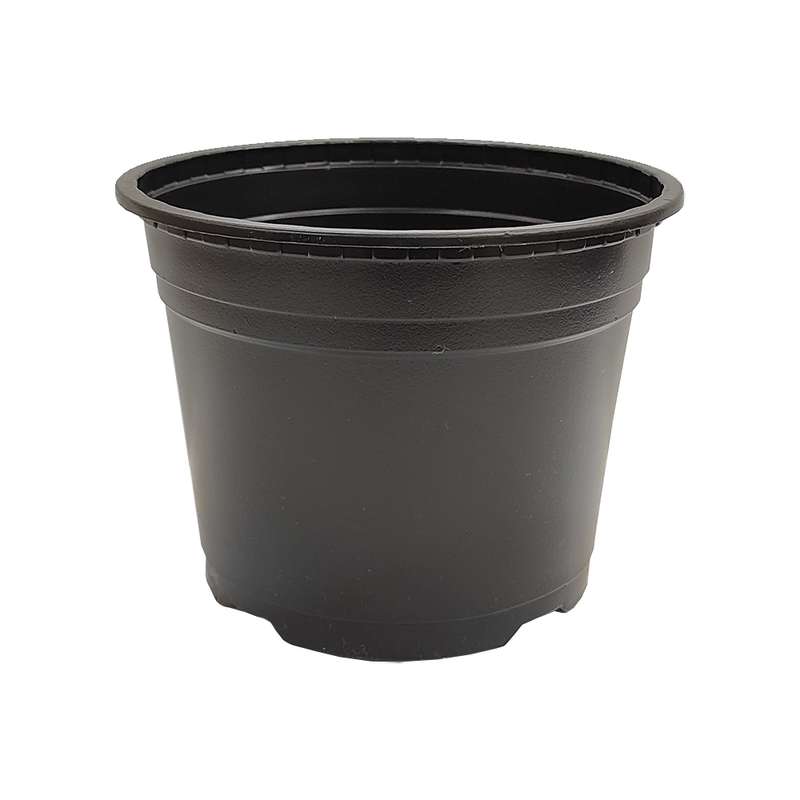 گلدان مدل ژله ای کد S16 مجموعه 20 عددی گلدان مدل ژله ای کد S16 مجموعه 20 عددی