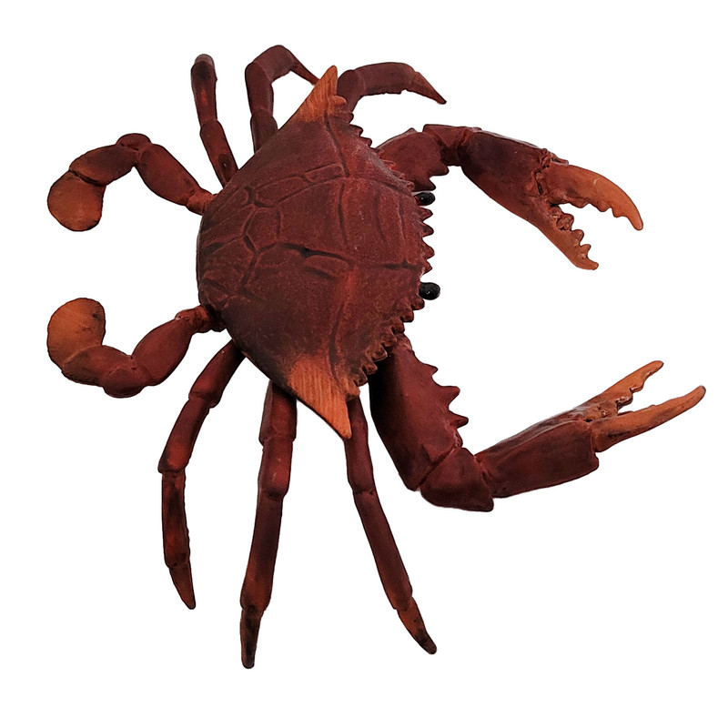 فیگور مدل خرچنگ کد 100