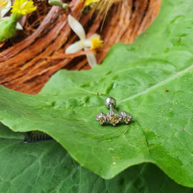 پیرسینگ گوش زنانه پایتخت مدل PS239 پیرسینگ گوش زنانه پایتخت مدل PS239