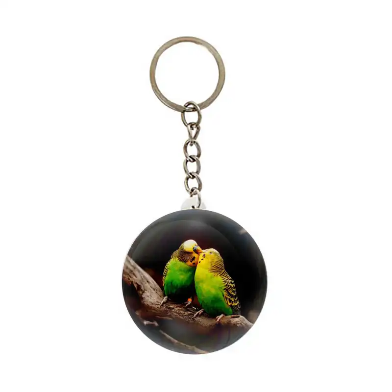 جاکلیدی عرش مدل فانتزی پرنده کد Asj6116