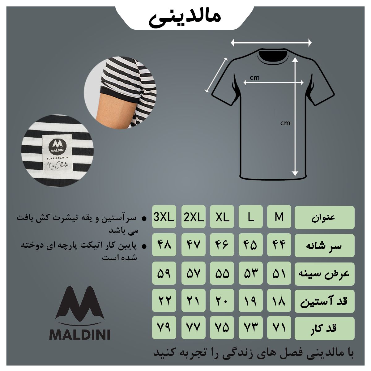 تی شرت آستین کوتاه مردانه مالدینی مدل t-448 -  - 5