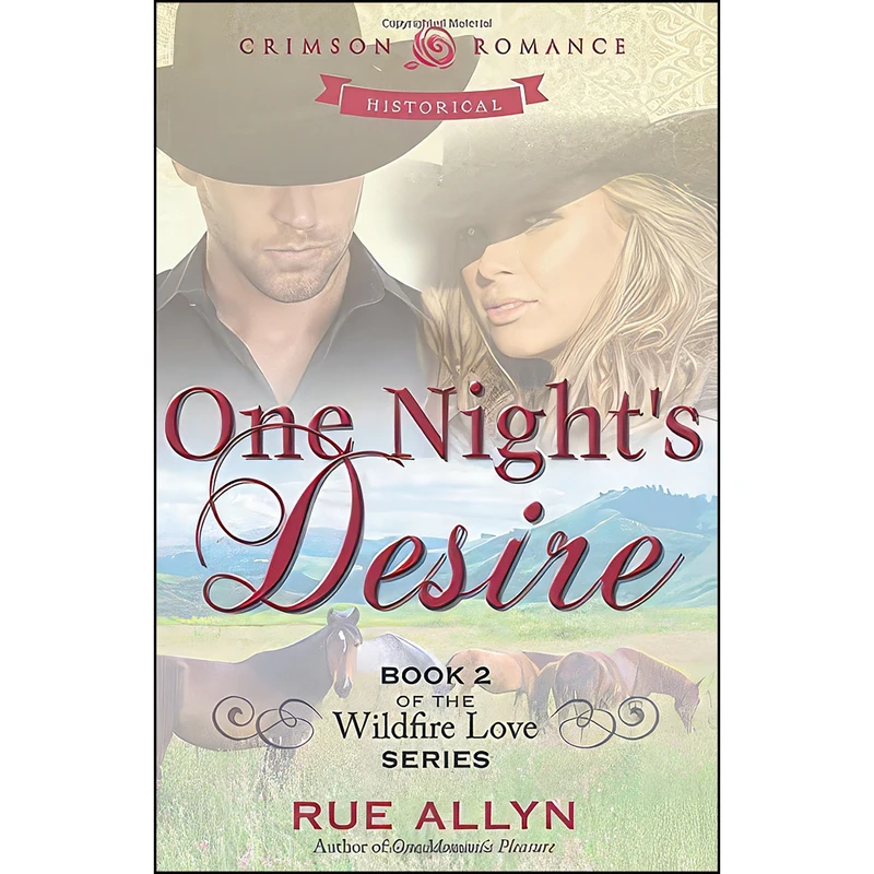 کتاب One Nights Desire  اثر Rue Allyn انتشارات Adams Media