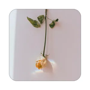 زیر لیوانی کاکتی طرح گل مدل mp19352