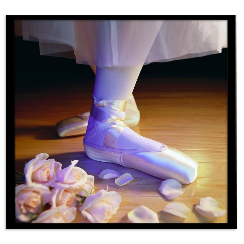 تابلو بکلیت طرح کفش باله مدل B-s1412